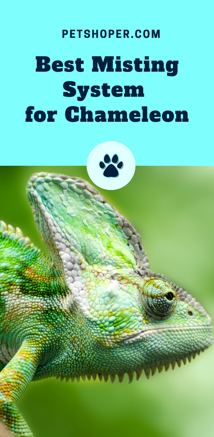 chameleon automatic mister