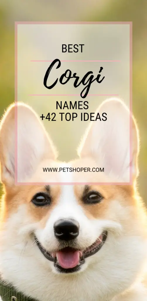 Names 42+ TOP Ideas Incl. Queen's Royal