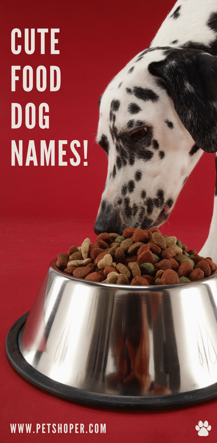 Cute Food Dog Names 87+ Ideas with Video | PetShoper